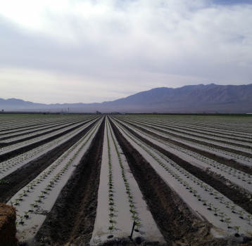It takes less water today than ever to grow our food