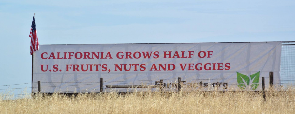 California Grows Half of U.S. Fruits, Nuts and Veggies